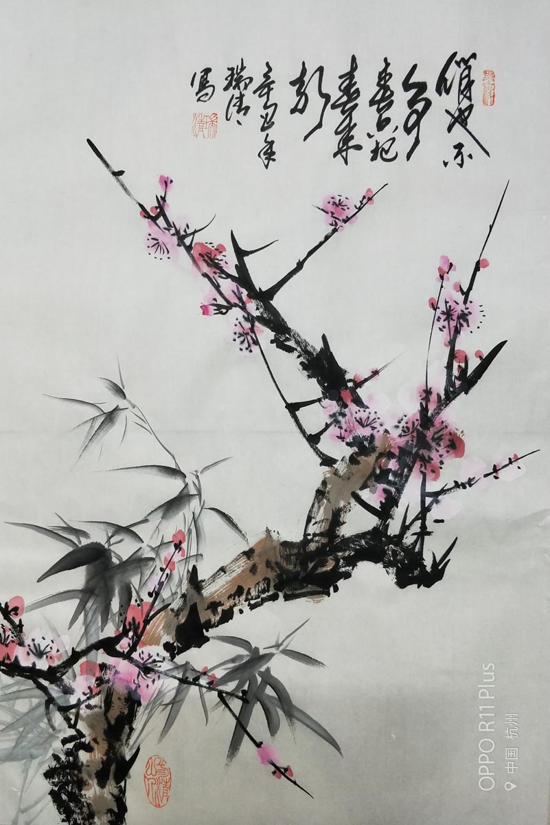 ��Ҳ����(zh��ng)����ֻ�Ѵ���(l��i)��(b��o)�� ÷����(gu��)�����B����Ʒ