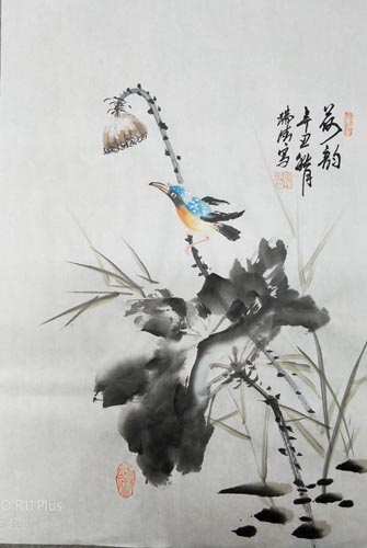 ���҇������ �������������匑